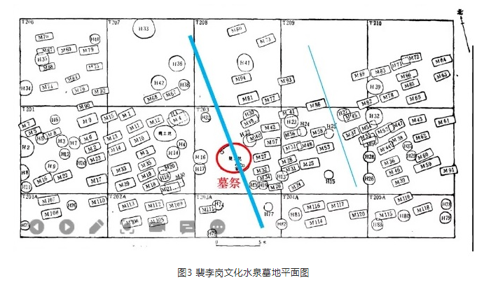 1650522264(1).png