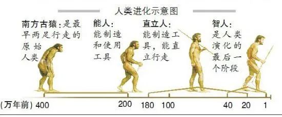59f74a82369fa0ed65b72ffd746252f3.jpg